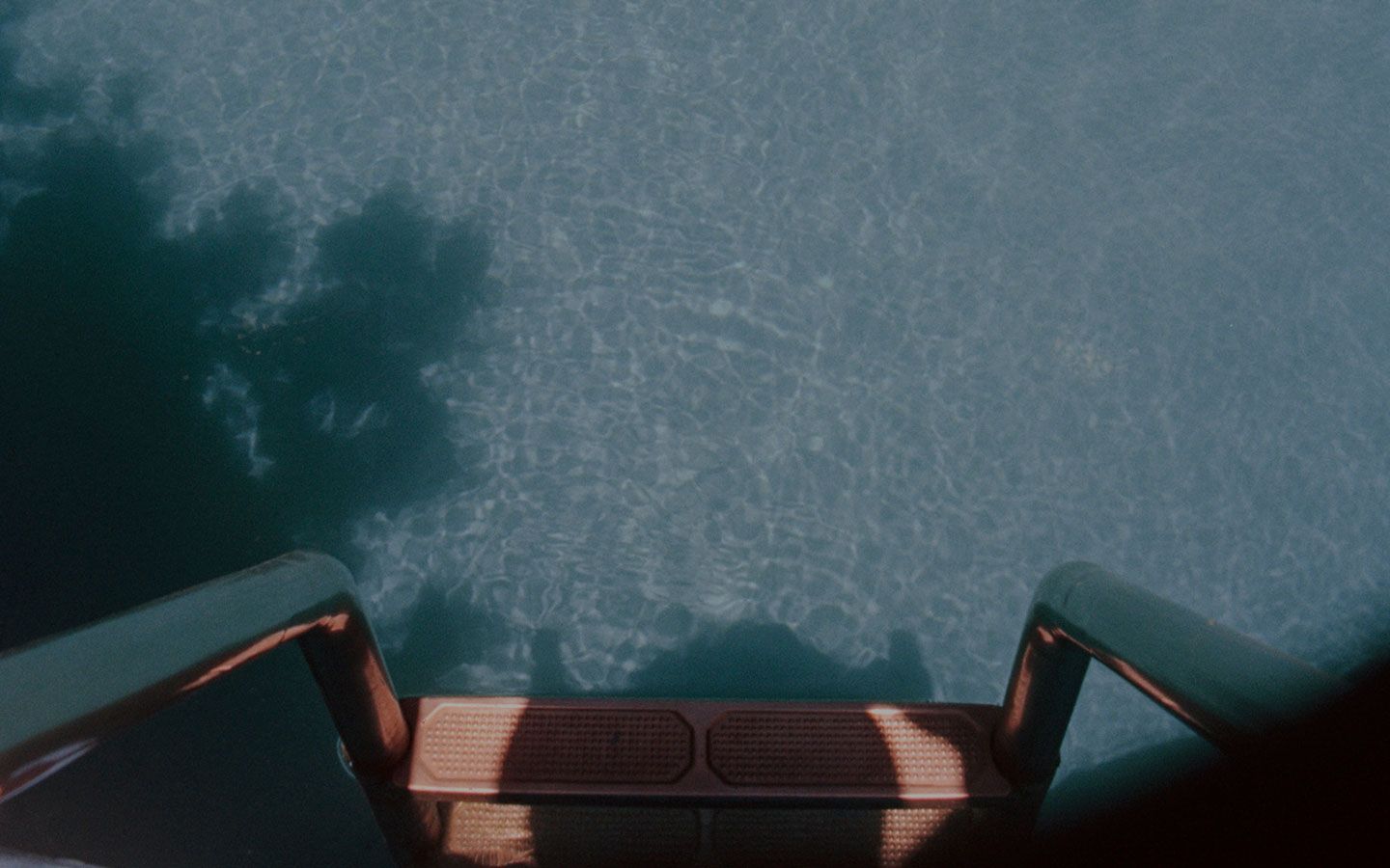 Beatriz Palacios Art