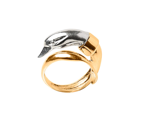 Anillo Cisne