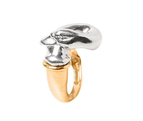 Anillo Swan